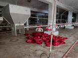 2 каватдан иборат ишлаб чикариш учун бино иншоатлар сотилади. - фото 3