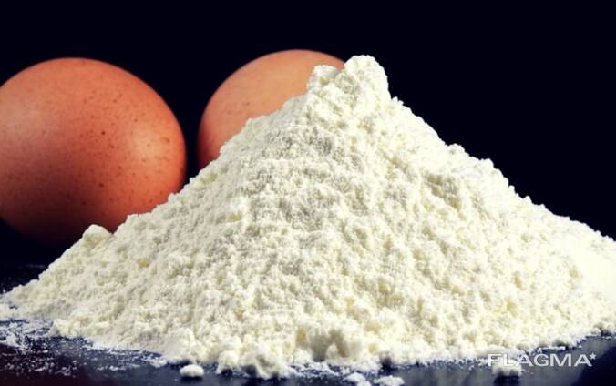 Albumin aylanishi