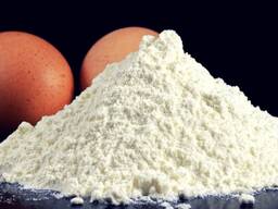 Albumin aylanishi
