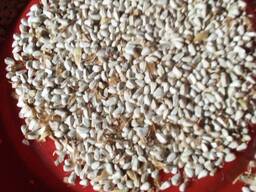 Сафлор- солнечное масло