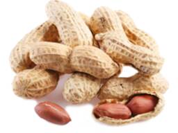 Арахис в скорлупе