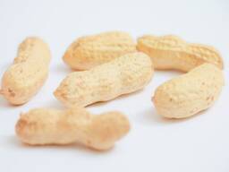 Арахис в скорлупе первый сорт