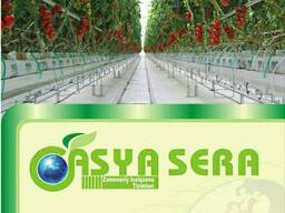 Asya Modern Seracılık Современные Теплицы от производителя