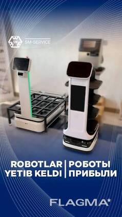 Автономные роботы для складов, производств, ресторанов и отелей.