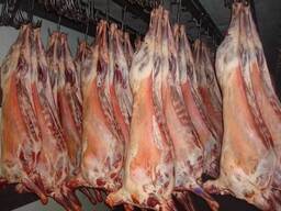 Баранина в тушах / qo'y go'shti