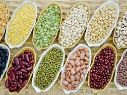 Beans. Green beans. Red beans. Light beans. Black eye beans. Purple beans. Фасоль . Маш.