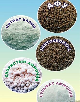 Бентоселитра