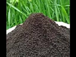 BIorgmix. kg