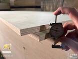 Birch plywood（Березовая фанера） - фото 2