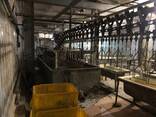 Бизнеc по развитию убойного цеха для бройлеров. - фото 2