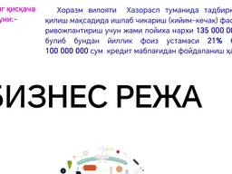 Biznes reja va TEOlar tayyorlash