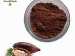 Black Cocao Powder/ Порошок черного какао - фото 2