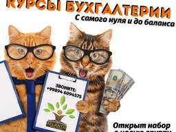 Бухгалтерия с нуля и до баланса