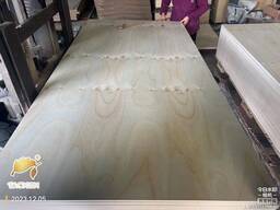 CDX pine plywood-CDX сосновая фанера