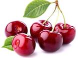 Cherry variety bull's eye from Uzbekistan - fotosurat 1