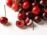 Cherry variety bull's eye from Uzbekistan - fotosurat 3