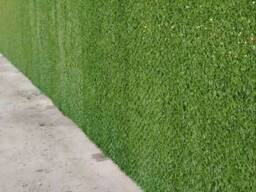 Декоративный экозабор