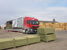 Деревянные опоры, колья сосновые