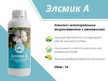Элсмик А - fotosurat 2