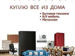 Toshkent bo'ylab sotib olamiz