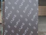 Faner optom narxida shoshiling - fotosurat 2