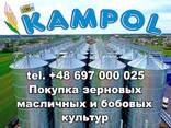 Фасоль куплю - fotosurat 2