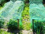 Garden nets, antibird - fotosurat 2