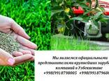 Газоны. Ландшафтный дизайн. Проектирование. Одна из первых к