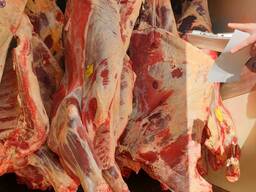 Говядина (Беларусь)