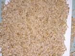Grain. Зерно - фото 2