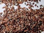 Grain. Зерно - фото 3
