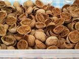 Гранулы скорлупы грецкого ореха ( Walnut Shell ) в Узбекистане - фото 2