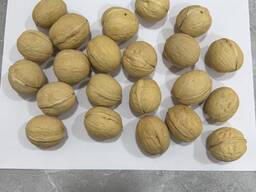 Грецкие орехи в скорлупе, сорт - 33
