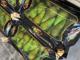 Груша - конференция.