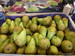 Груша свежая Конференция