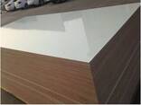 HPL plywood-HPL фанера - фото 2