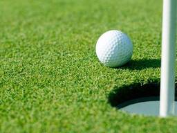 Искуственный газон Гольф