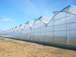 Испанская промышленная теплица «Rufepa Tecnoagro»