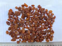 Изюм султана/КоричневыйАбджуш/Афтоби/Кондитерский