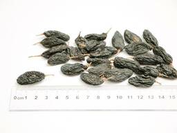 Изюм черный "Гигант" (теневая сушка)