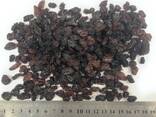 Изюм - Raisins - fotosurat 3