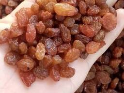 Изюм Султана Абджуш Малаяр (коричневый )