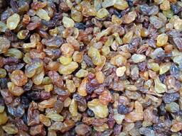 Изюм желтый 4 сорт (Чалифар Используется для кондитерских изделий)