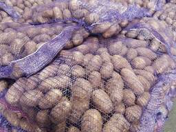 Картофель свежий