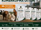 Комбикорм гранулированный от завода производителя - fotosurat 1