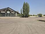 Компания предлагает в аренду земельный участок общей площадью 6 гектаров, - fotosurat 15