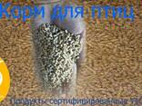 Корм для птиц - фото 1
