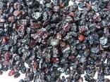 Корм для птиц изюмом/Bird Feed Raisins - fotosurat 2