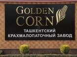 Кукурузный крахмал (Высший сорт) от производителя Golden Corn! - fotosurat 1