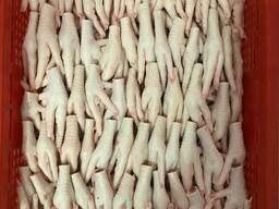 Куриные Лапки/Chiken Paws and Feets